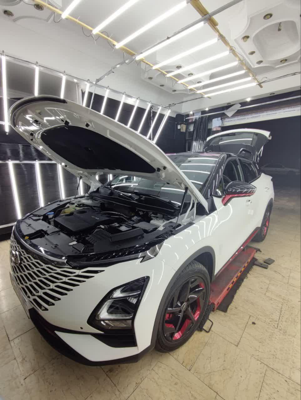 عکس کارشناسی فنی و تشخیص رنگ کیان خودرو