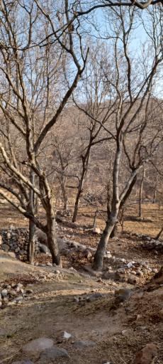 عکس مسجد سنگی و صخره ای روستای چراغیل