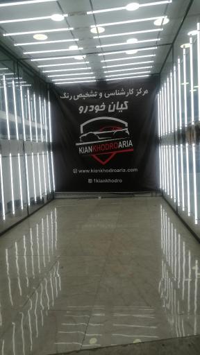 کارشناسی فنی و تشخیص رنگ کیان خودرو