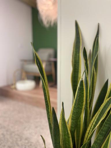 عکس ماساژ و یوگا آکواسالت آب نمک