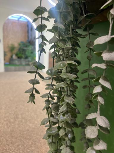 عکس ماساژ و یوگا آکواسالت آب نمک