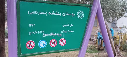 عکس بوستان بنفشه ( مختار ثقفی )