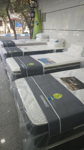 عکس تشک گرین رست 