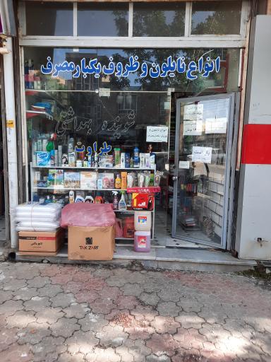 عکس شوینده بهداشتی طراوت