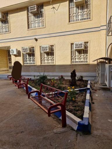 عکس هنرستان حضرت آمنه 