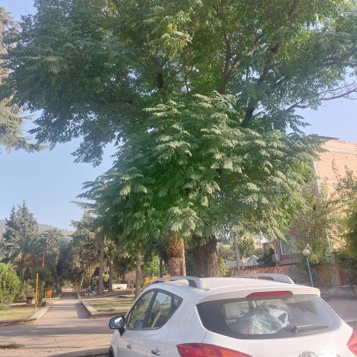 عکس پارک لاله های انقلاب