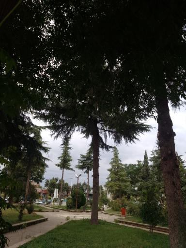 عکس پارک لاله های انقلاب