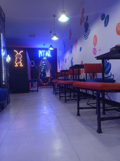 عکس قهوه مورچه