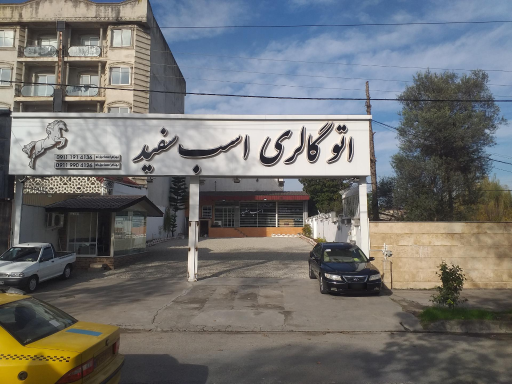 عکس گالری اتومبیل اسب سفید بهرام اسماعیل لو