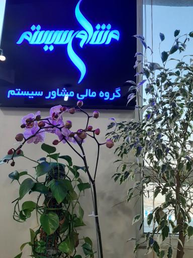 عکس شرکت گروه مالی مشاورسیستم 