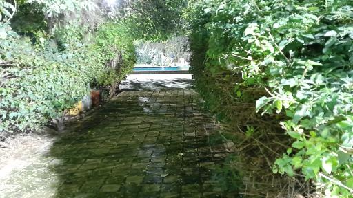 عکس پارک بعثت