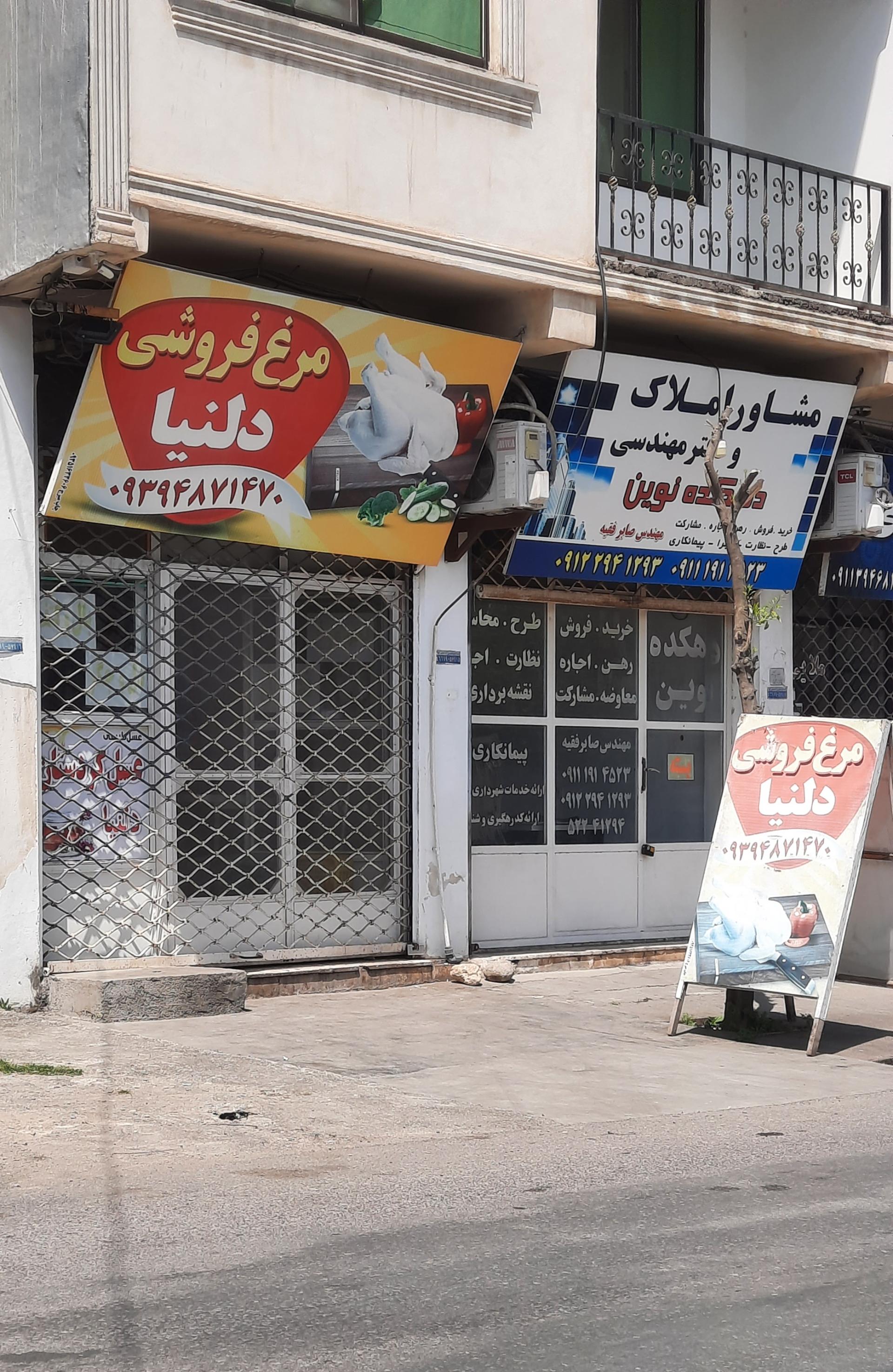 عکس مرغ فروشی دلنیا