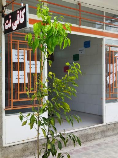 عکس کافی نت حافظ