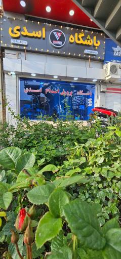 عکس باشگاه پرورش  اسدی