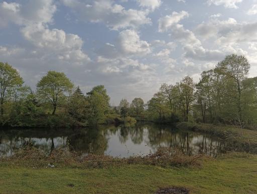 عکس برکه های تخسم 