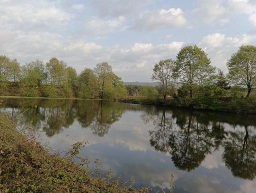 عکس برکه های تخسم 