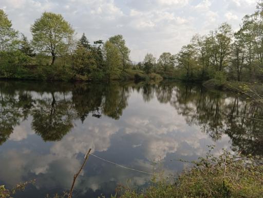 عکس برکه های تخسم 