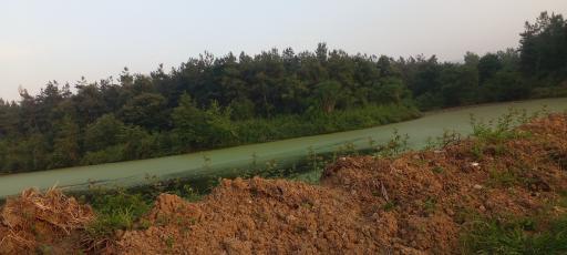 عکس برکه های تخسم 