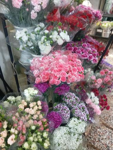 عکس بازار گل ستاری