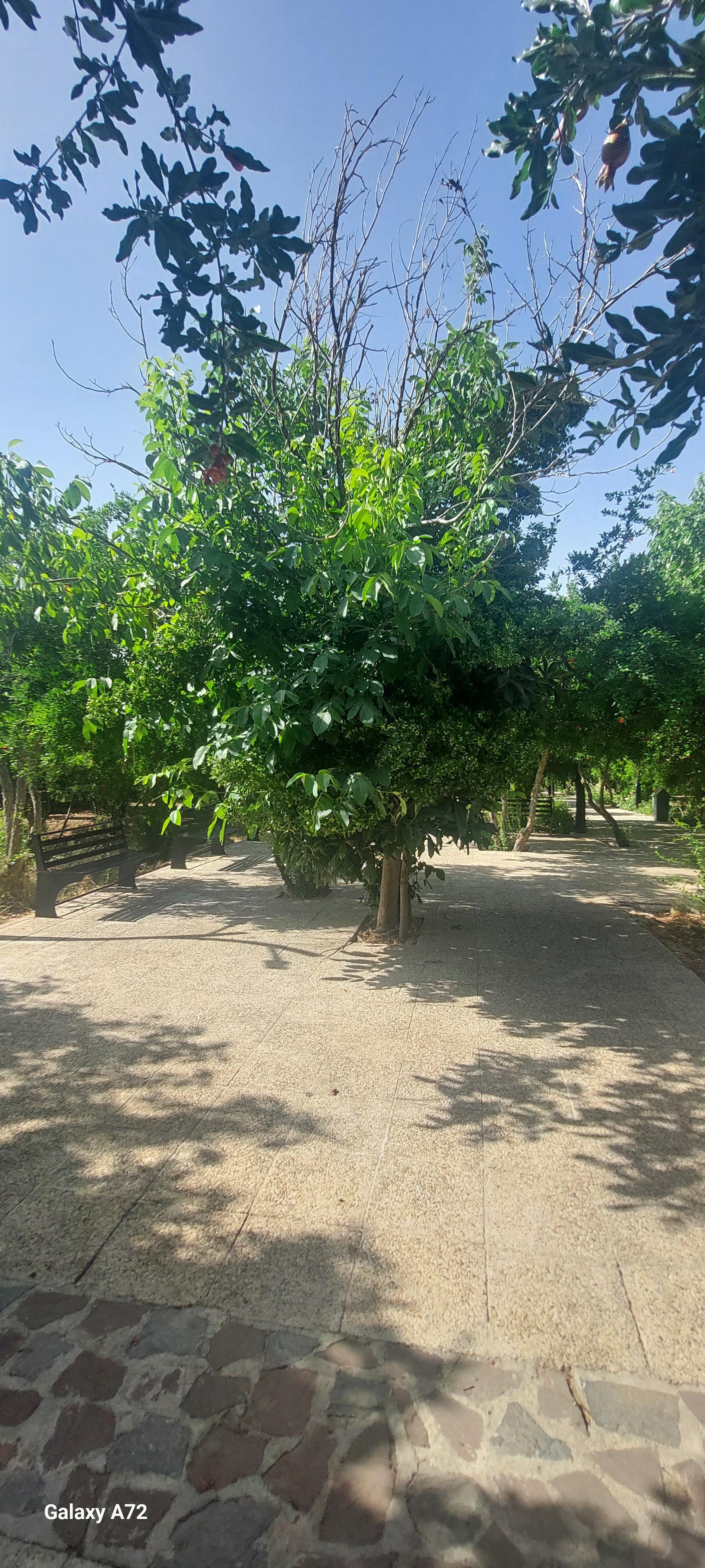 عکس بوستان خانواده فرهنگ