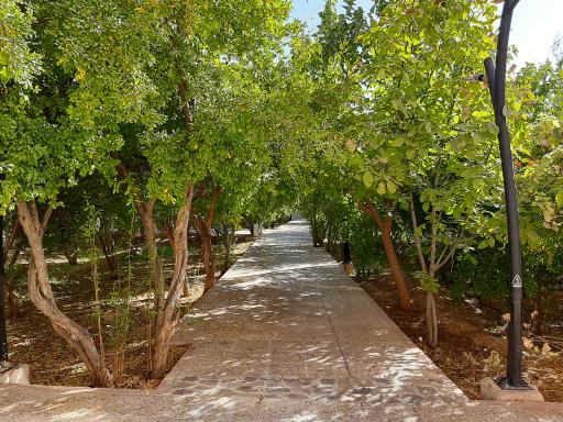 عکس بوستان خانواده فرهنگ