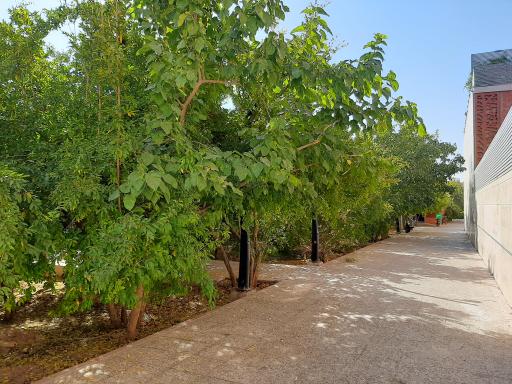 عکس بوستان خانواده فرهنگ
