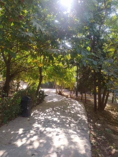 عکس پارک رویا