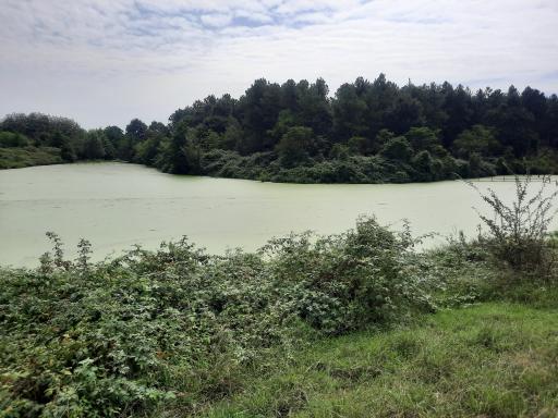 عکس برکه های تخسم 