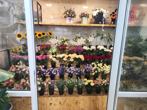 عکس گلفروشی تی تی