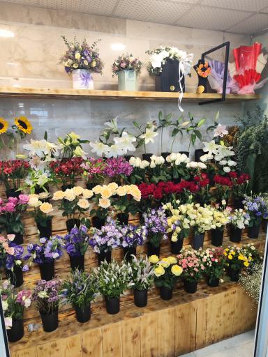 عکس گلفروشی تی تی