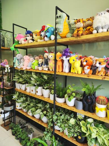 عکس گلفروشی تی تی