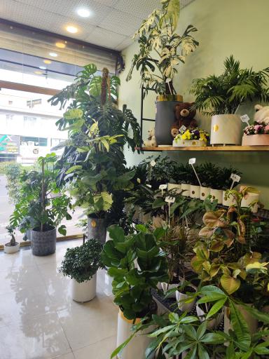 گلفروشی تی تی