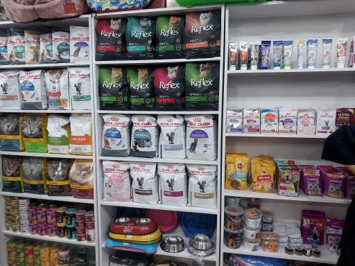 عکس پت شاپ‌ و کلینیک دامپزشکی کایا