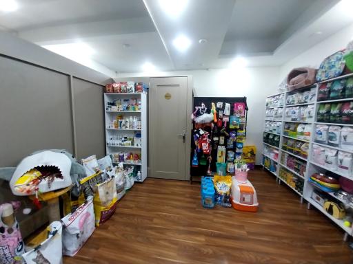 عکس پت شاپ‌ و کلینیک دامپزشکی کایا