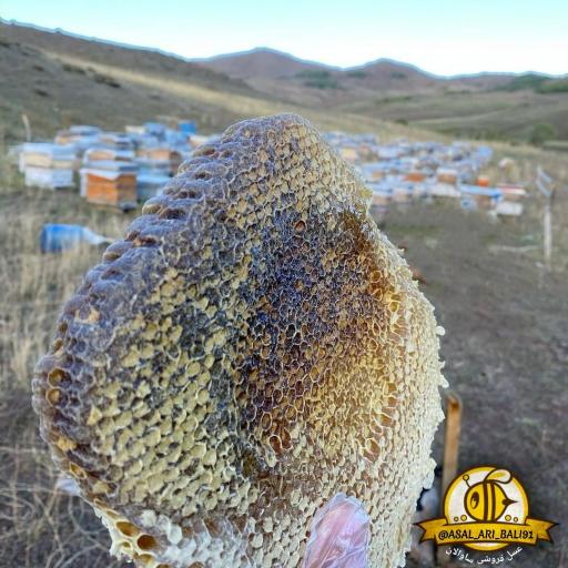 عکس عسل فروشی ساوالان