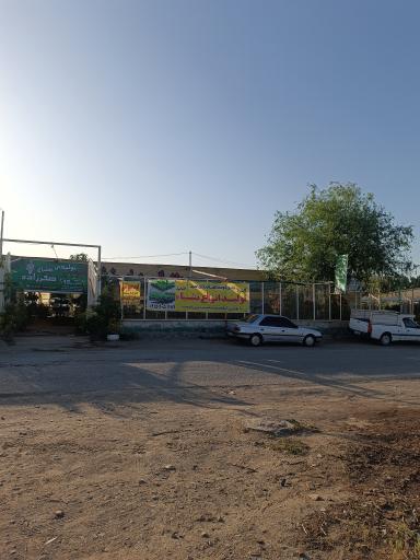 عکس تولیدی گلباغ معین صفرزاده