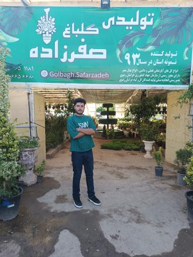 عکس تولیدی گلباغ معین صفرزاده
