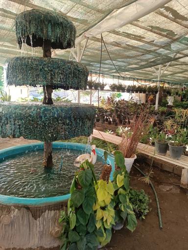 عکس تولیدی گلباغ معین صفرزاده