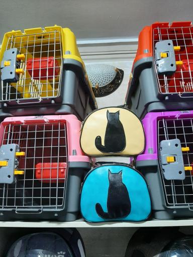 عکس پت شاپ‌ و کلینیک کارو