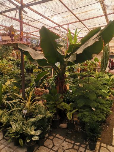 عکس گلخانه زندگی سبز