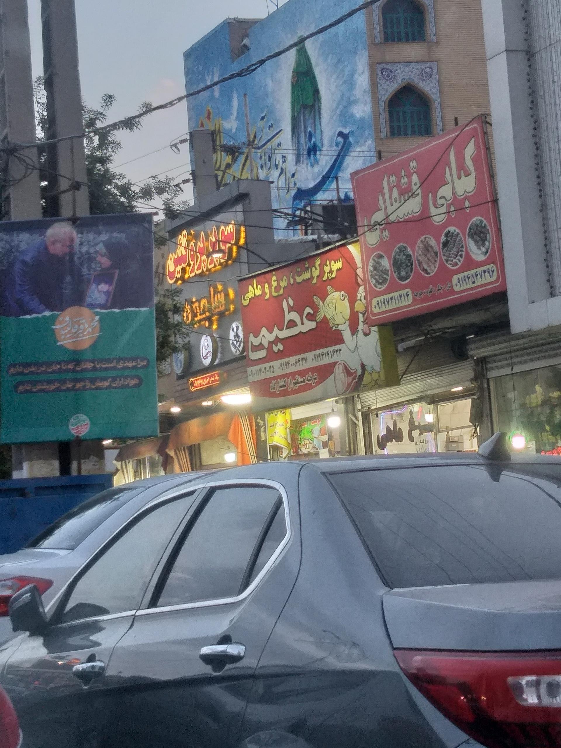 عکس مرغ و گوشت عظیمی