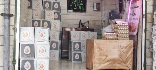 عکس پخش تخم مرغ خالدی 