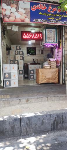 عکس پخش تخم مرغ خالدی 