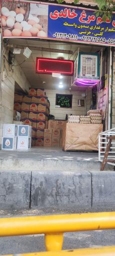 عکس پخش تخم مرغ خالدی 