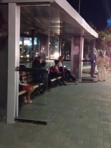 عکس  نمایشگاه 11