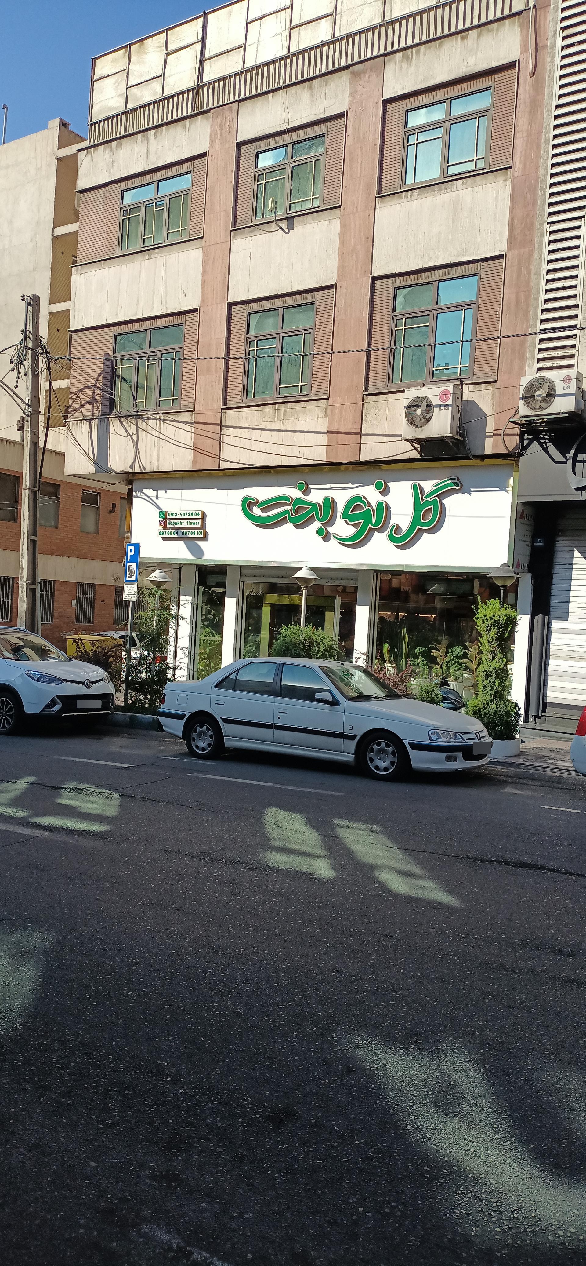 عکس گل نوبخت (محلمون) 