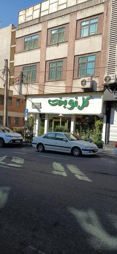 عکس گل نوبخت (محلمون) 