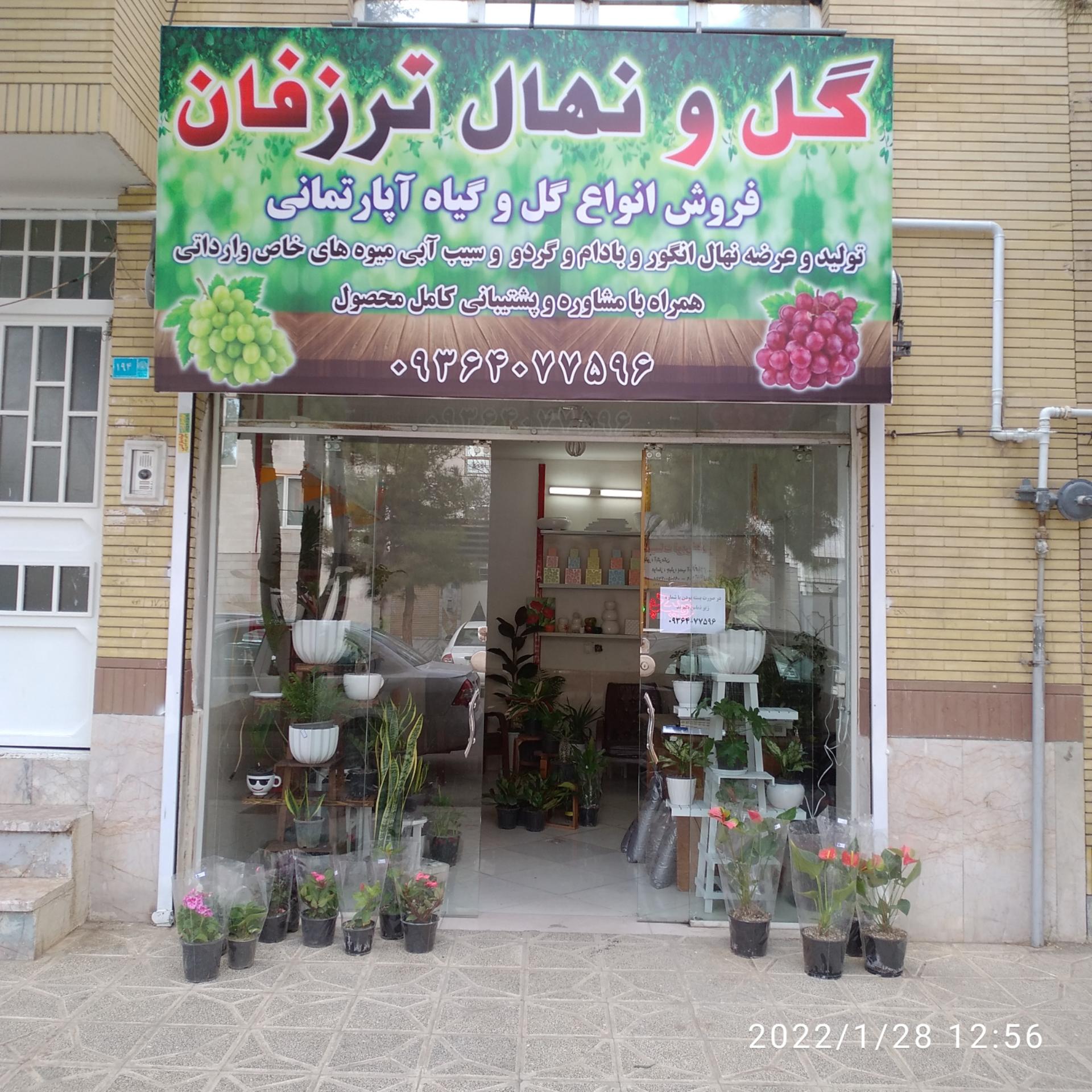 عکس گل و نهال ترزفان