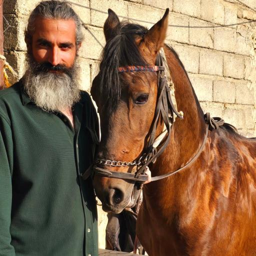 مجوعه ی پرورش اسب آریا