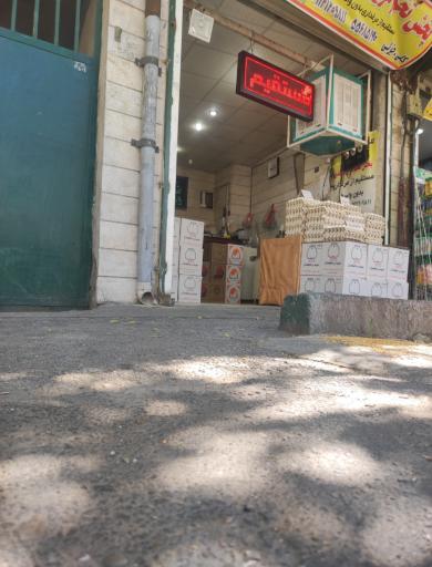 عکس پخش تخم مرغ خالدی 